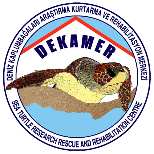 DEKAMER_Logo