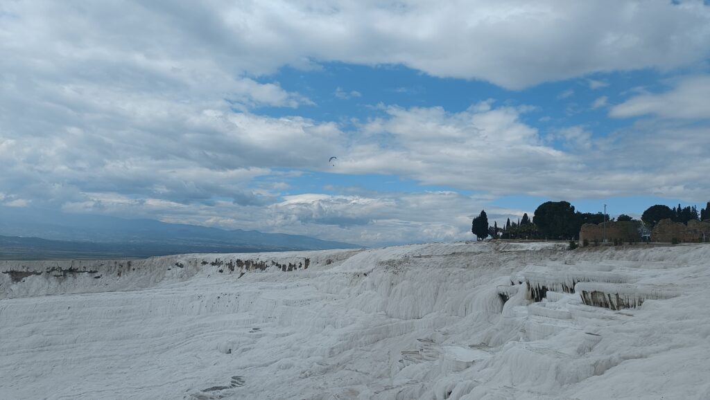 IMG-20241204-WA0008