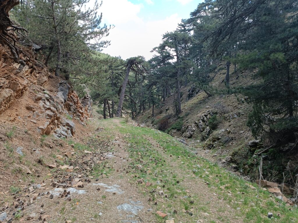 IMG-20241204-WA0063