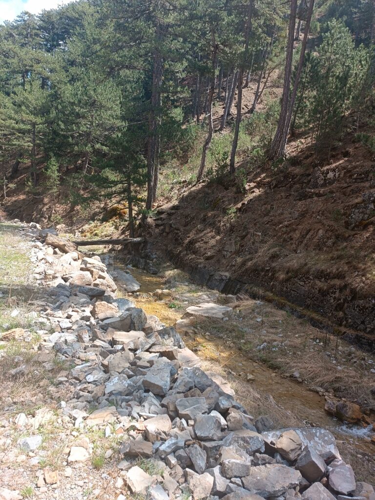 IMG-20241204-WA0065
