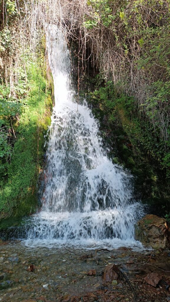 IMG-20241205-WA0068